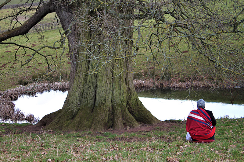 Meditation in nature